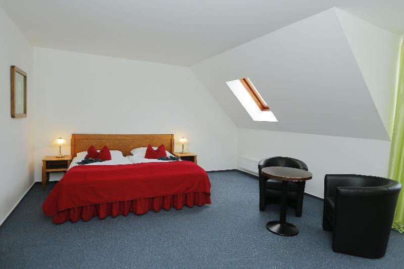 Hotel Magnolia Roudnice - Oda