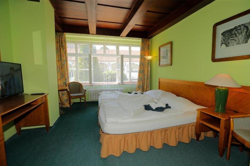 Hotel Magnolia Roudnice - Oda