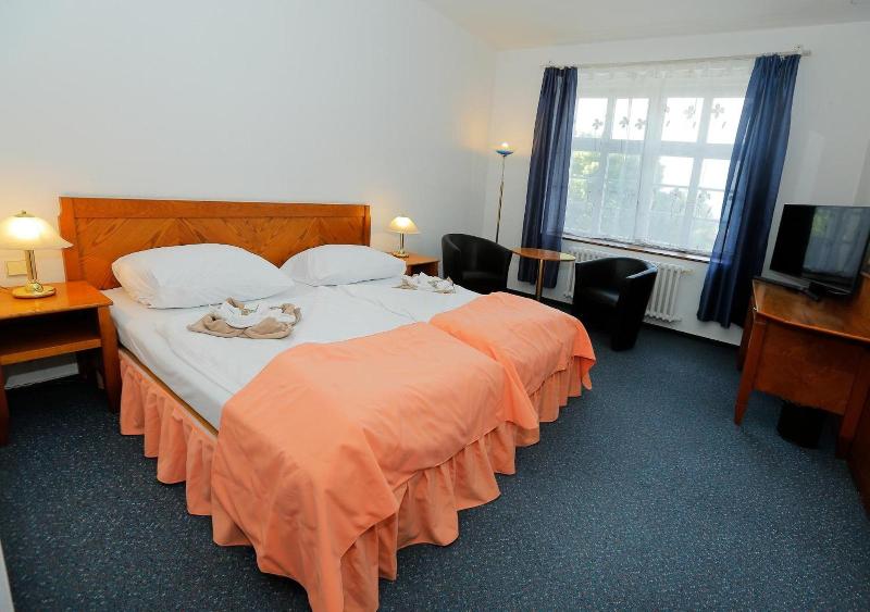 Hotel Magnolia Roudnice - Oda