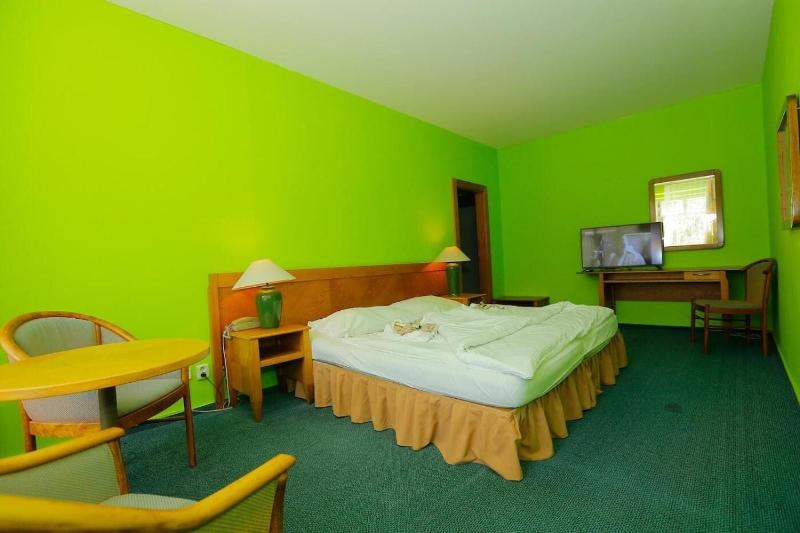 Hotel Magnolia Roudnice - Oda