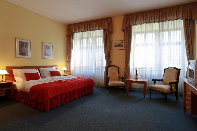 Hotel Magnolia Roudnice - Oda