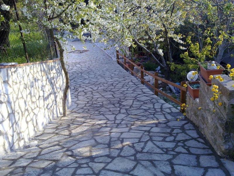 B&B Antica Trattoria Bacco - Genel