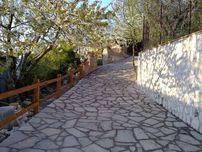 B&B Antica Trattoria Bacco - Genel