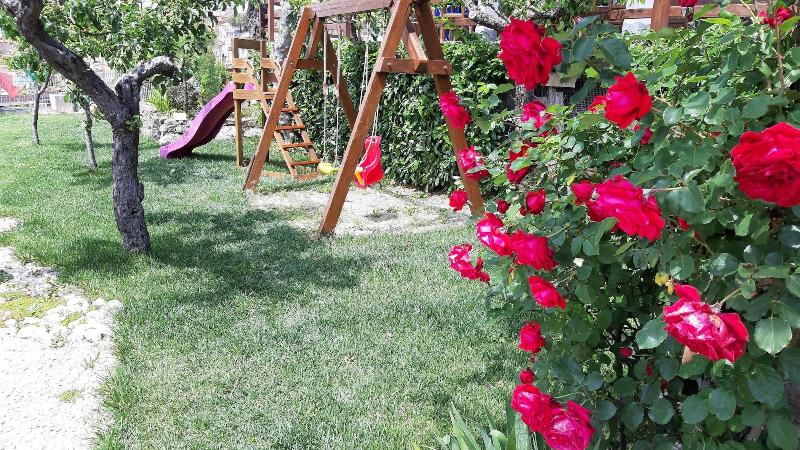 B&B Antica Trattoria Bacco - Genel