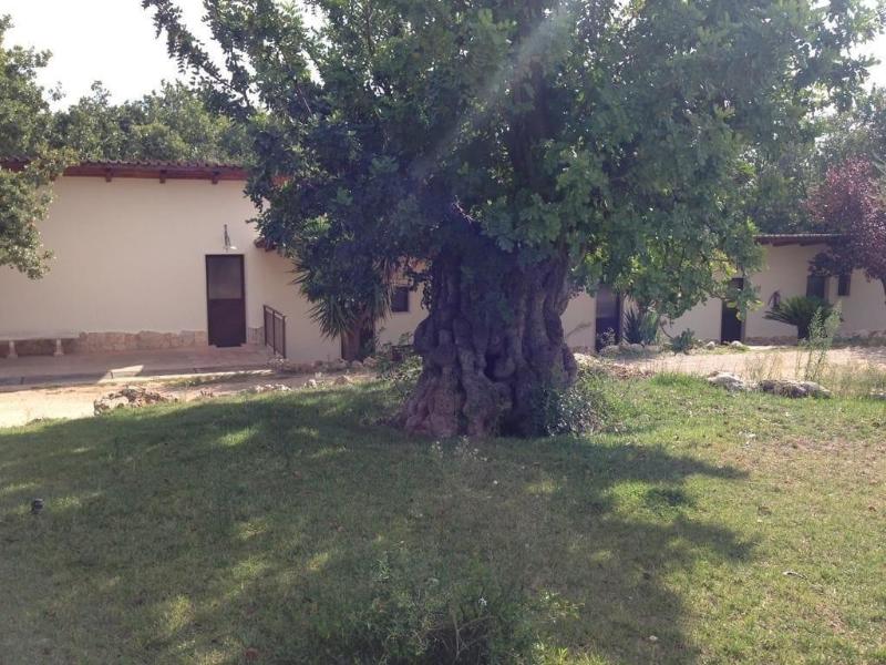 Tenuta Giannini - Genel