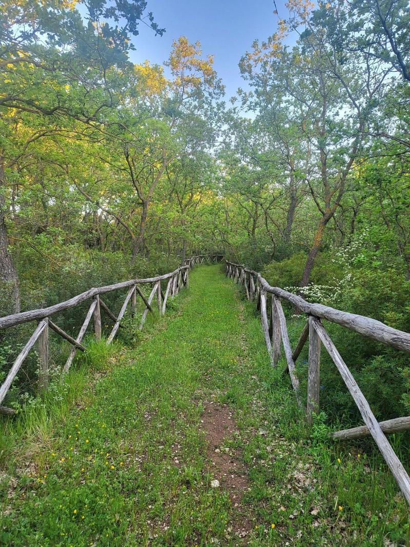Tenuta Giannini - Genel