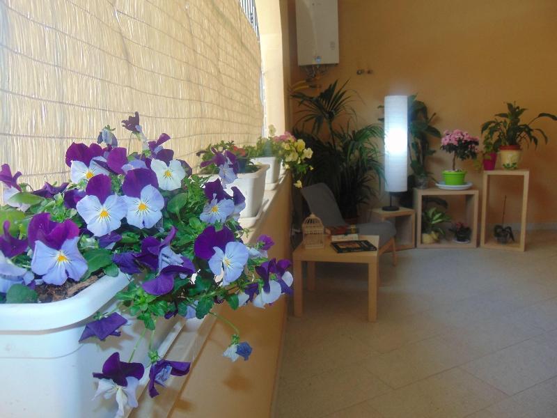 Residence Le Isole - Teras