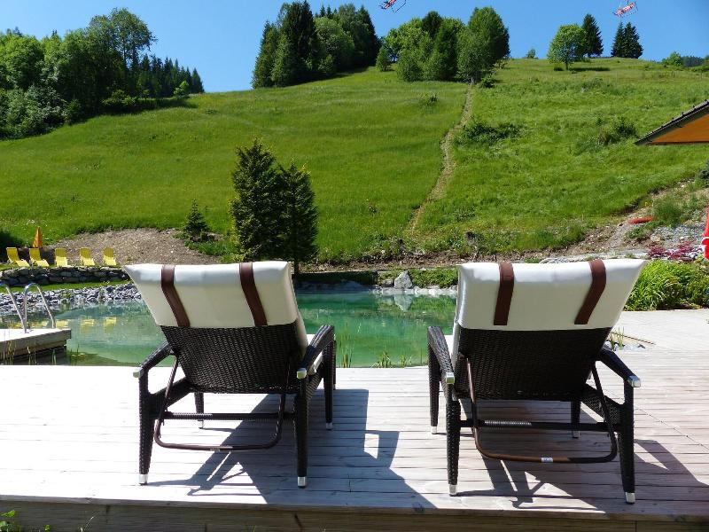 Schillerkopf Alpinresort - Havuz
