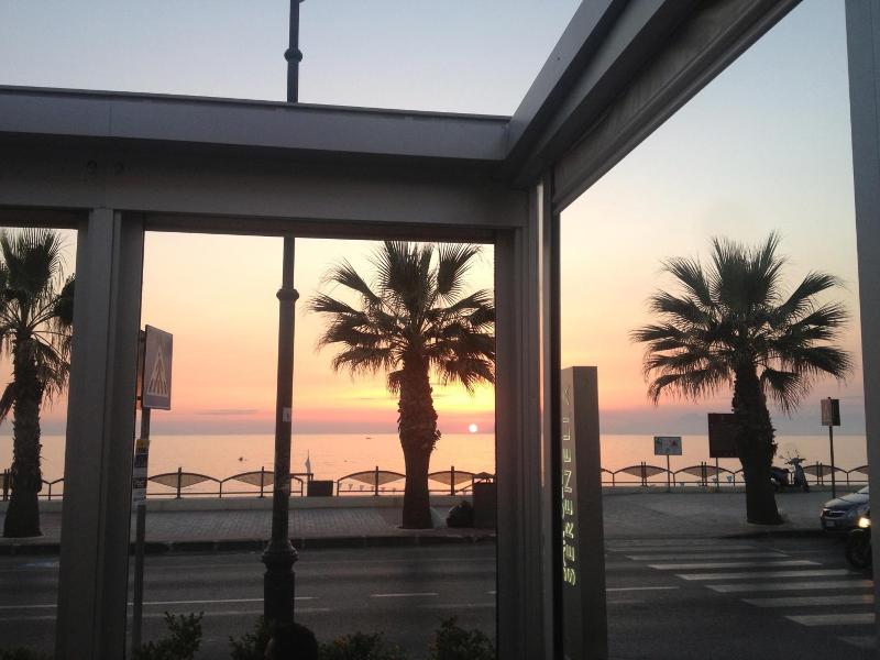 Hotel Serenella - Genel