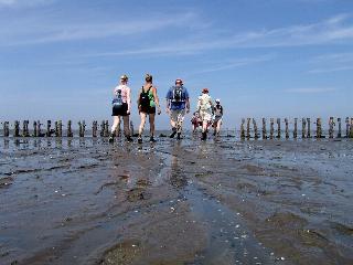 Hotel Waddengenot fotoÄŸrafÄ±