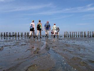 Hotel Waddengenot fotoÄŸrafÄ±