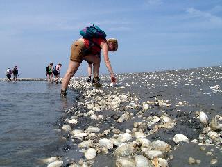 Hotel Waddengenot fotoÄŸrafÄ±