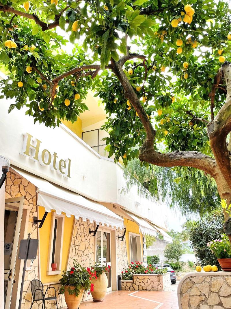 Yellow Park Hotel Restaurant - Genel