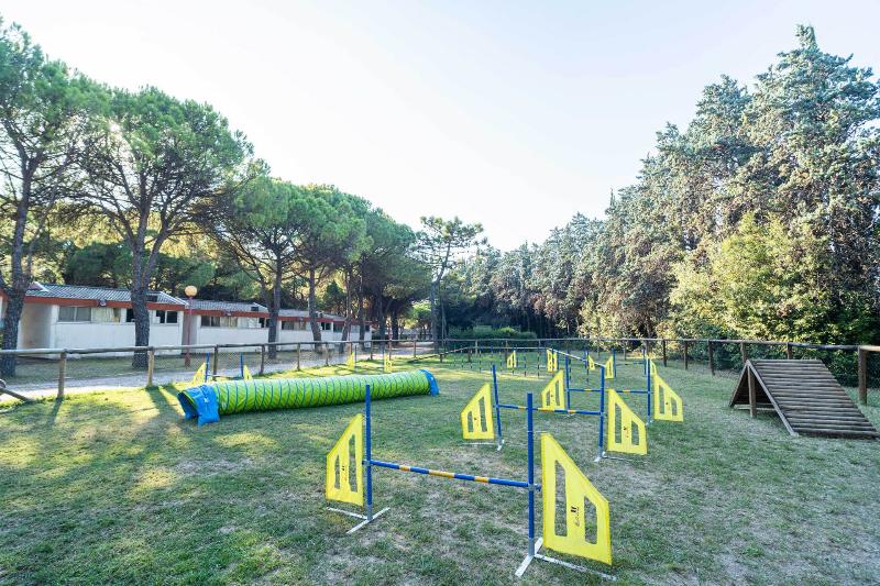 Club del Sole Marina Julia Family Collection - Aktivite