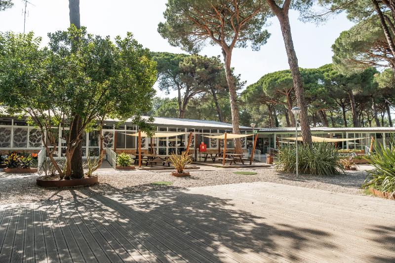 Club del Sole Marina Romea Easy Camping Village - Bar