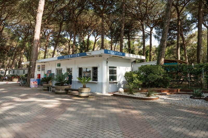 Club del Sole Marina Romea Easy Camping Village - Lobi