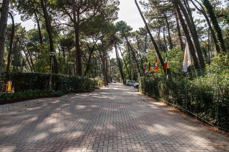 Club del Sole Marina Romea Easy Camping Village - Lobi