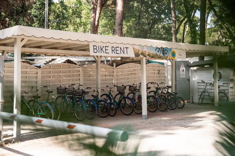 Club del Sole Marina Romea Easy Camping Village - Aktivite