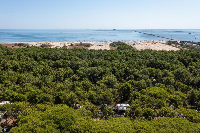 Club del Sole Marina Romea Easy Camping Village - Genel