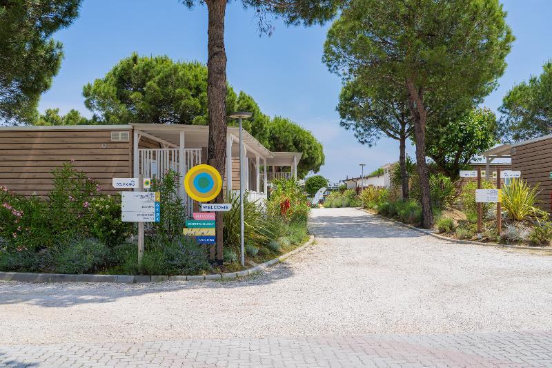 Club del Sole Pini Beach Village - Lobi