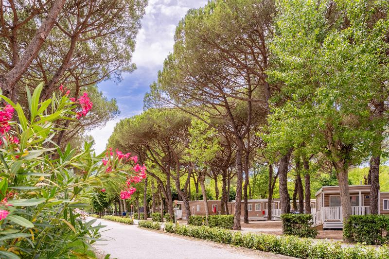 Club del Sole Viareggio Family Collection - Oda