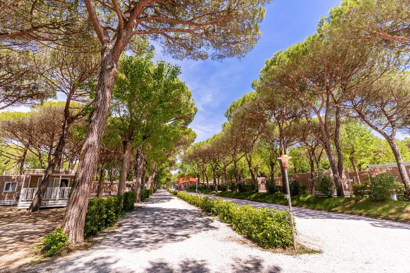 Club del Sole Viareggio Family Collection - Oda