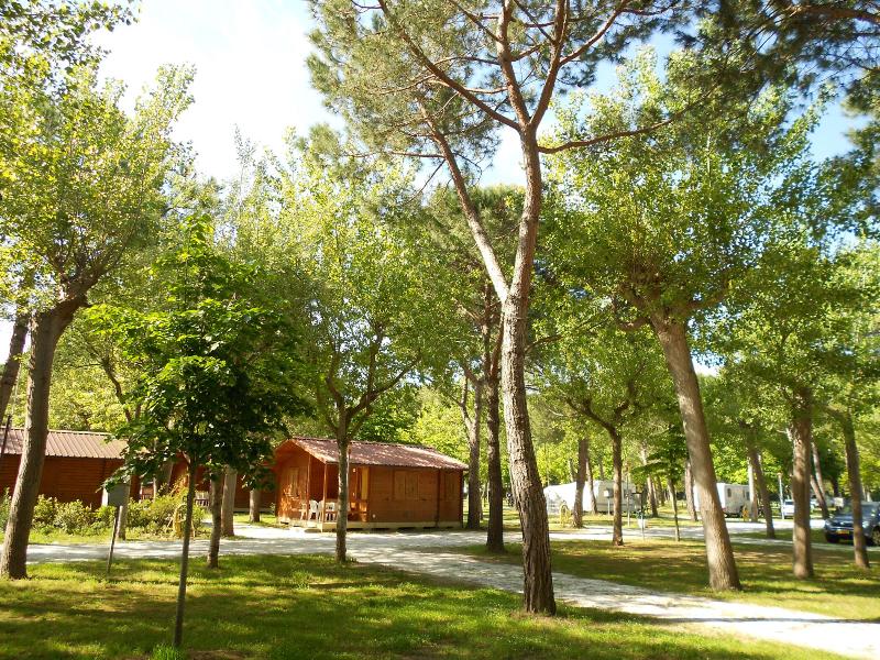 Club del Sole Viareggio Family Collection - Oda