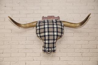 Bulls Head fotoÄŸrafÄ±