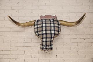 Bulls Head fotoÄŸrafÄ±