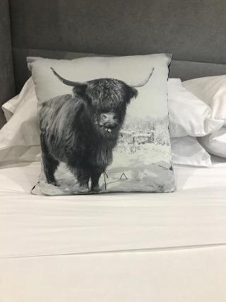 Bulls Head fotoÄŸrafÄ±