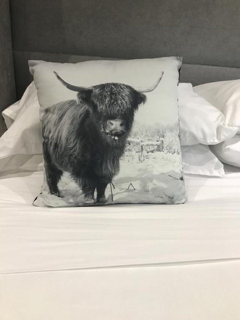Bulls Head - Oda