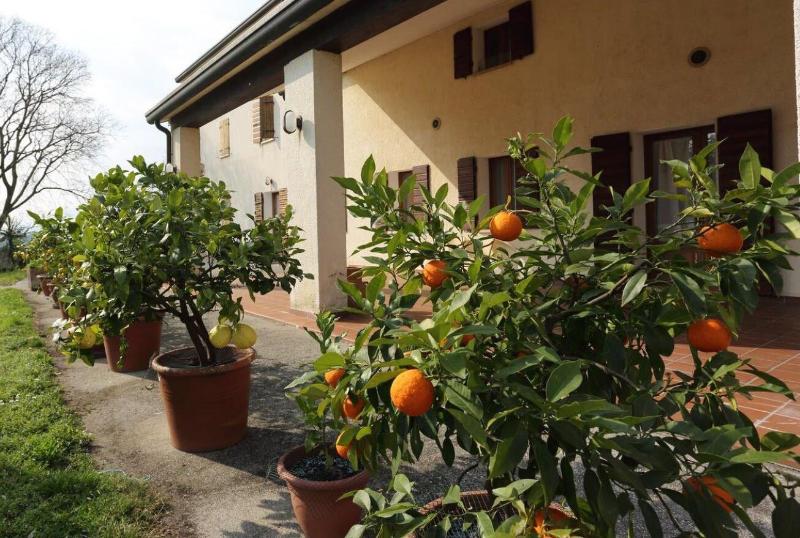 Albergo Volpara - Teras