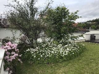 Apartmány Eden fotoÄŸrafÄ±
