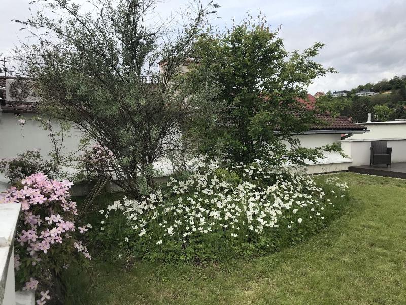 Apartmány Eden - Genel