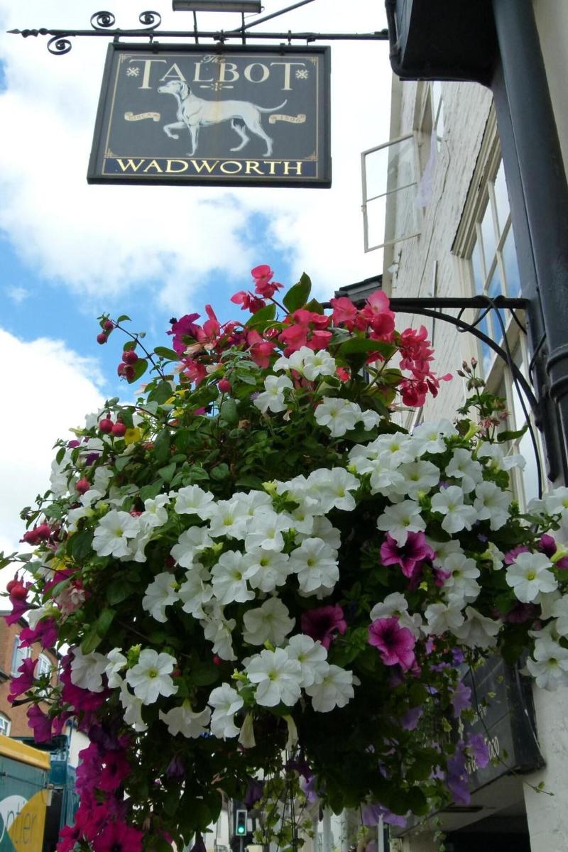 The Talbot Inn - Genel