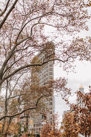 Hyatt Place NYC Chelsea fotoÄŸrafÄ±