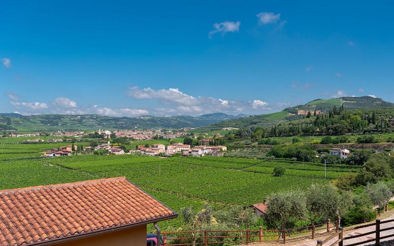 Sporting Hotel San Felice - Oda