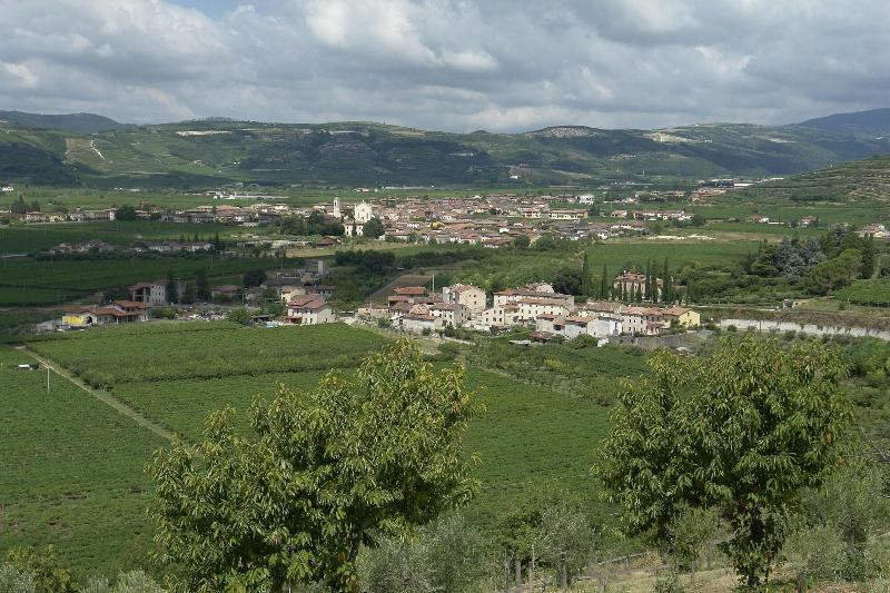 Sporting Hotel San Felice - Oda
