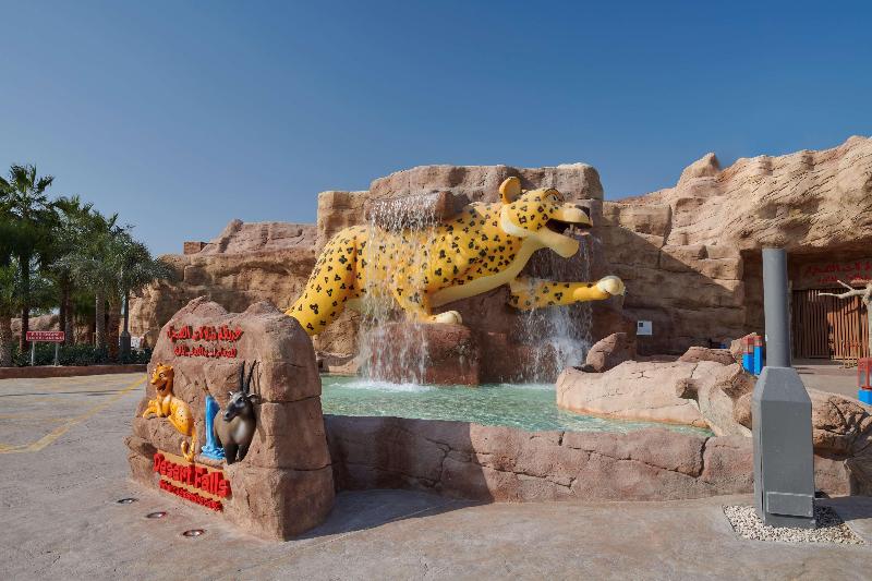 Hilton Salwa Beach Resort & Villas - Aktivite