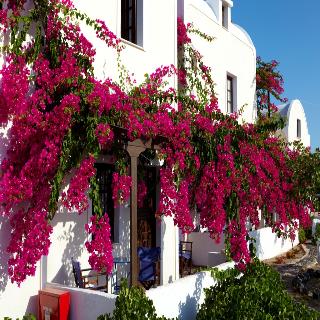 Anna Apartments