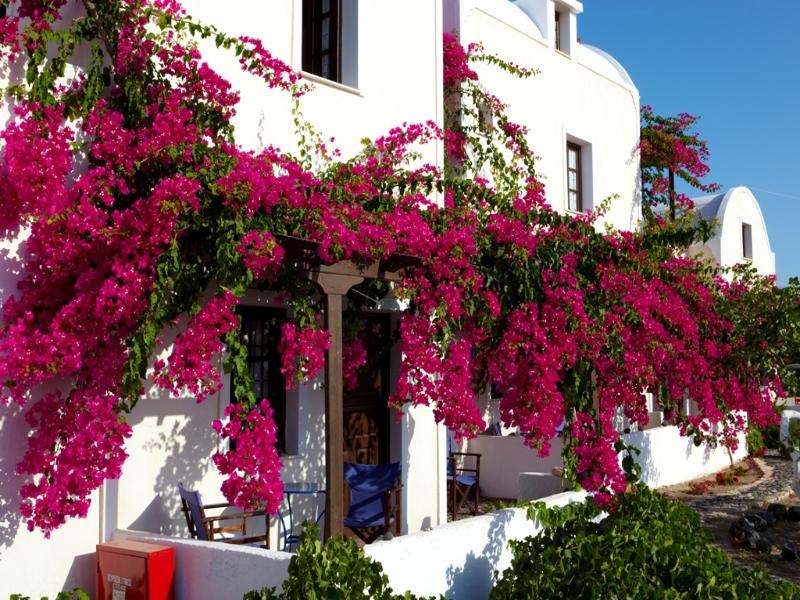 Anna Apartments - Genel
