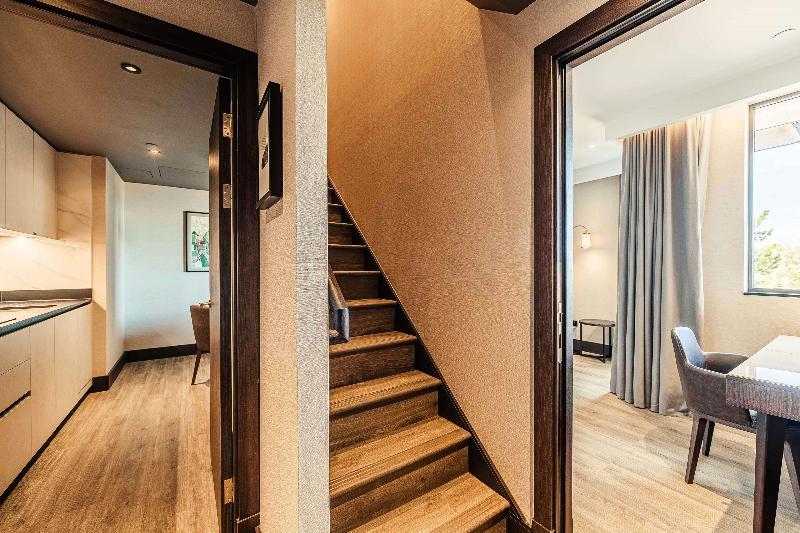 The Fellows House Cambridge Curio Collection By H - Oda