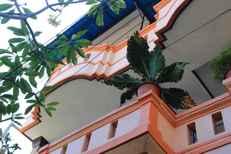 Harmony Guest House - Genel