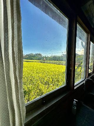 Bali Eco Living Yoga Healing Meditation by ZUZU fotoÄŸrafÄ±