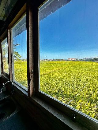 Bali Eco Living Yoga Healing Meditation by ZUZU fotoÄŸrafÄ±