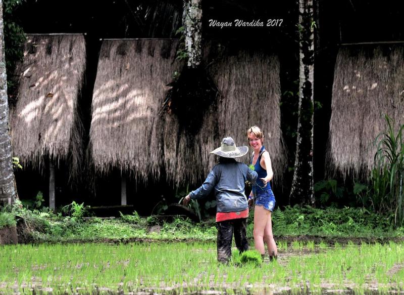 Tegal Dukuh Camp by ZUZU - Genel