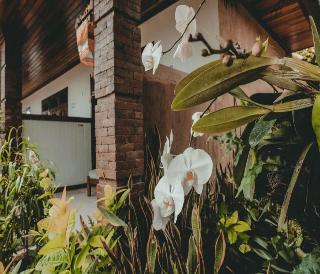 Sekar Arum Riverside Resort in Canggu by ZUZU fotoÄŸrafÄ±