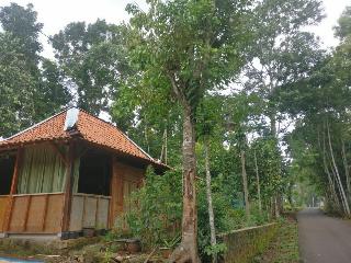 Homestay An-Nur by ZUZU fotoÄŸrafÄ±