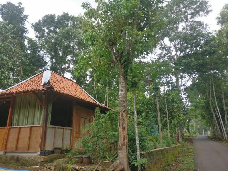 Homestay An-Nur by ZUZU - Genel