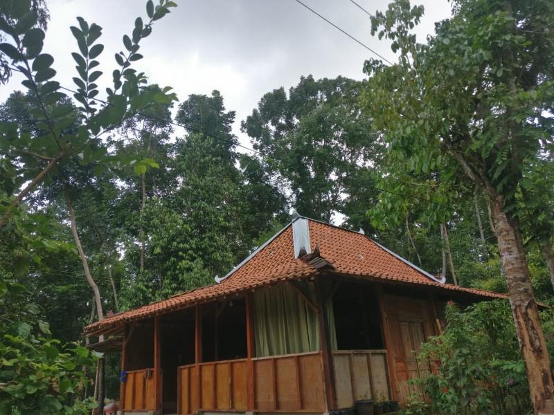 Homestay An-Nur by ZUZU - Genel